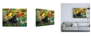 Trademark Global David Galchutt Interlude Toucans Canvas Art - 27" x 33.5"